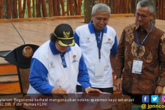 Akhirnya Indonesia Punya Perpustakaan Kayu Nomor 1 di Dunia - JPNN.COM