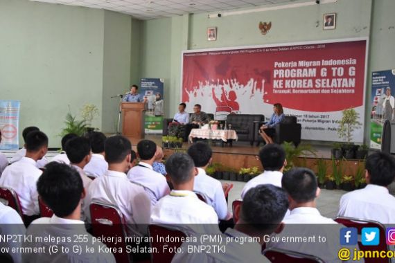 BNP2TKI Kirim 255 Pekerja Migran Indonesia ke Korea Selatan - JPNN.COM
