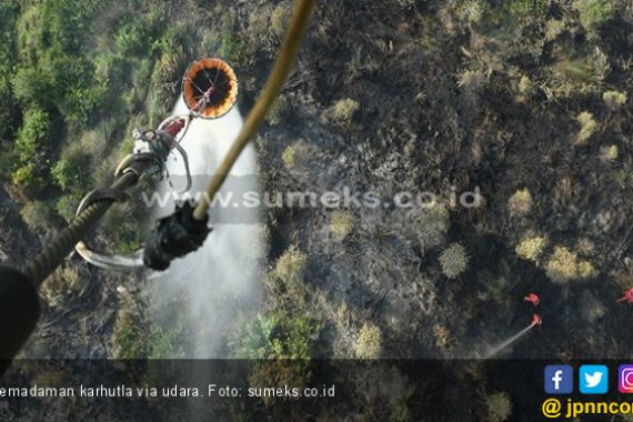BPBD Turunkan Tiga Tim untuk Atasi Kebakaran Hutan dan Lahan di Rohil - JPNN.COM