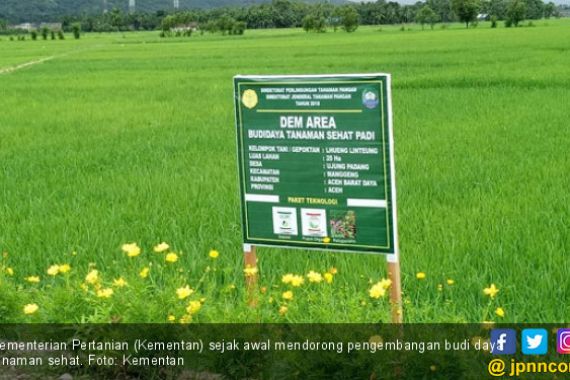 Kementan Dorong Petani Kembangkan Tanaman Sehat - JPNN.COM