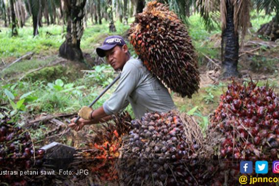 Jika Jokowi Pilih Lockdown, Petani Sawit Pasti Menjerit - JPNN.COM