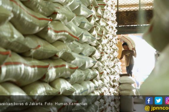 Indonesia Surplus Beras 2,85 Juta Ton, Kementan Panen Pujian - JPNN.COM