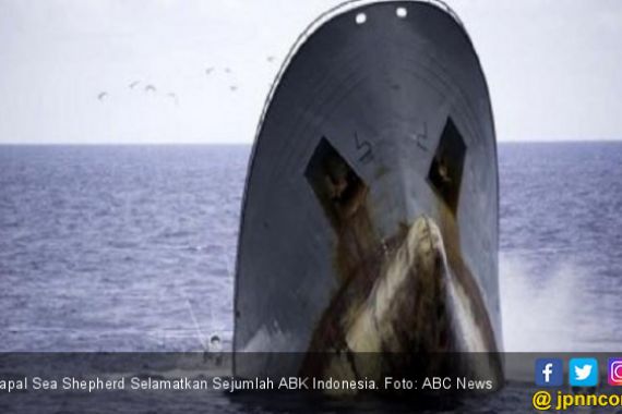 Kapal Sea Shepherd Selamatkan Sejumlah ABK Indonesia - JPNN.COM