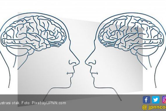 Cara Mudah Bikin Otak Lebih Cerdas - JPNN.COM
