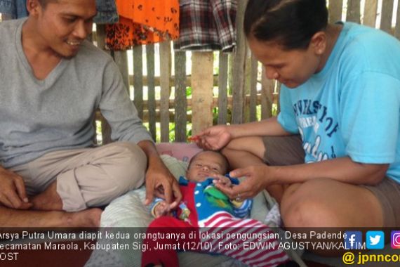 Bayi Tersangkut di Pohon 18 Jam, Kisah Ini Bikin Merinding - JPNN.COM