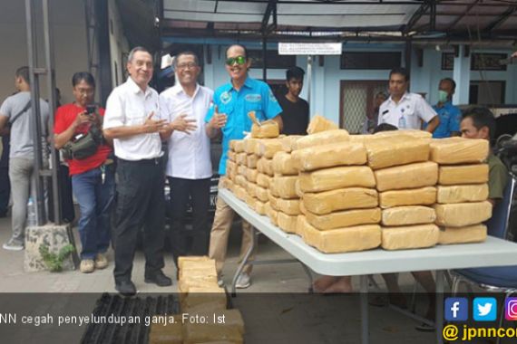 BNN Gagalkan Penyelundupan 250 Kg Ganja di Bakauheni - JPNN.COM