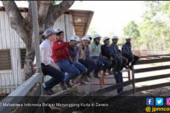 20 Mahasiswa Indonesia Belajar Menunggang Kuda di Darwin - JPNN.COM