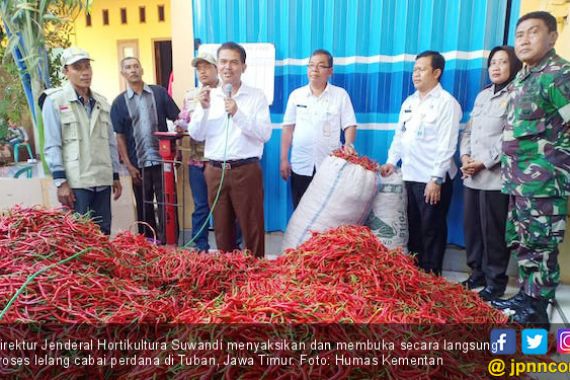 Kementan Launching Pasar Lelang Cabai di Tuban - JPNN.COM