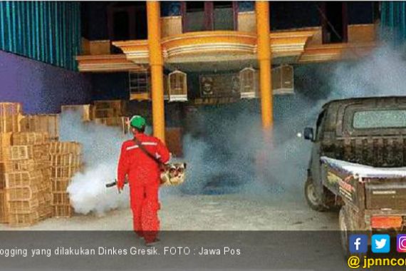 Berantas Demam Berdarah, Dinkes Gresik Lakukan ini - JPNN.COM