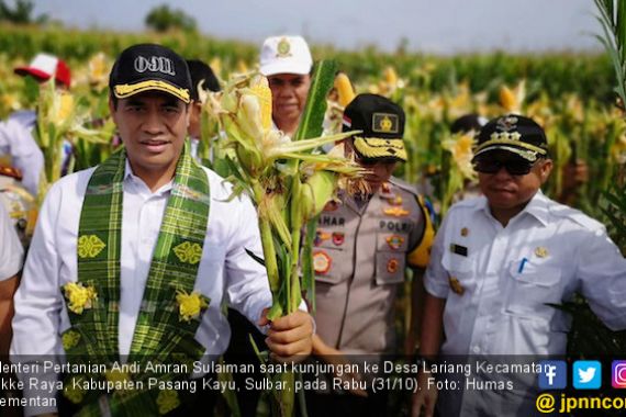 Replanting Sawit dan Jagung Fokus Kementan di Sulbar - JPNN.COM