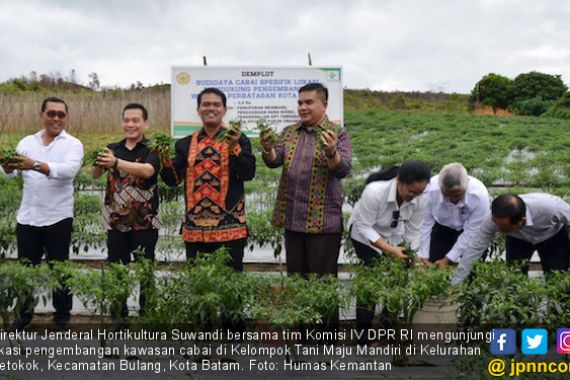 Kementan Dukung Peningkatan Produksi Cabai di Kepulauan Riau - JPNN.COM