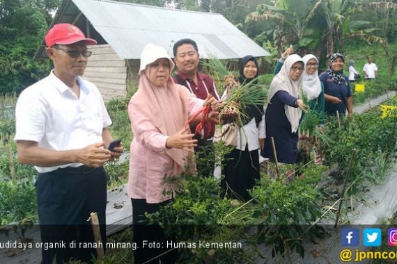 Kementan Dukung Budidaya Organik di Ranah Minang - JPNN.COM