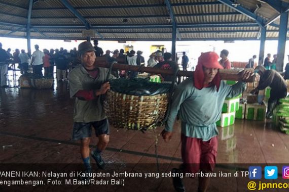 Ikan Melimpah, Nelayan Tagih Janji Bu Susi - JPNN.COM