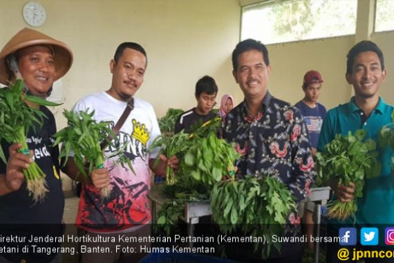 Kementan Dorong Petani Muda di Pinggir Bandara Soetta - JPNN.COM