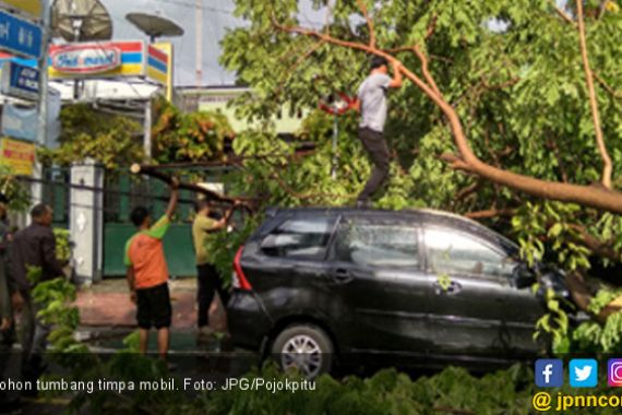 Antar Istri Kerja, Pengendara Mobil Tertimpa Pohon Tumbang - JPNN.COM