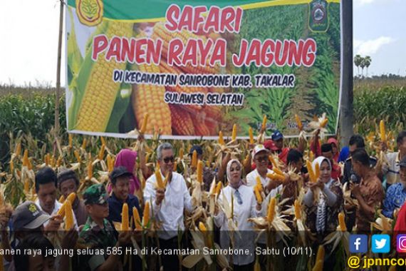 Hari Pahlawan Momentum Petani Jadi Pahlawan Jagung - JPNN.COM