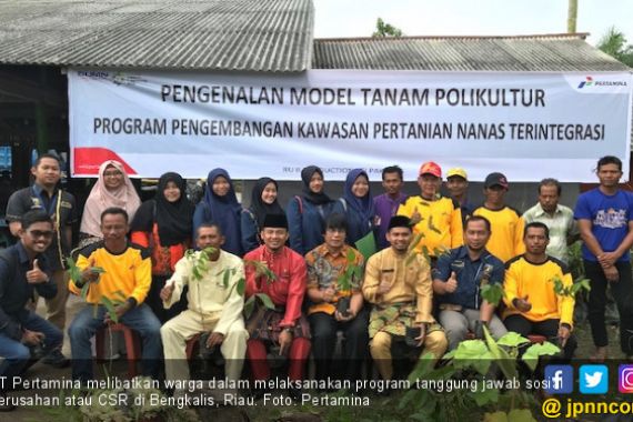 Dorong CSR Kampung Gambut Berdikari Pertamina Dinasionalkan - JPNN.COM