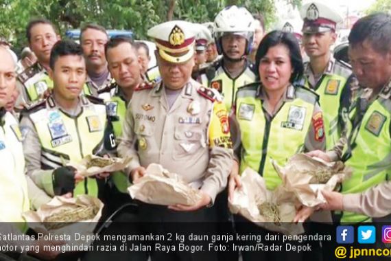 Bawa Ganja, Pengendara Kharisma Panik, Iptu Parman Ditabrak - JPNN.COM