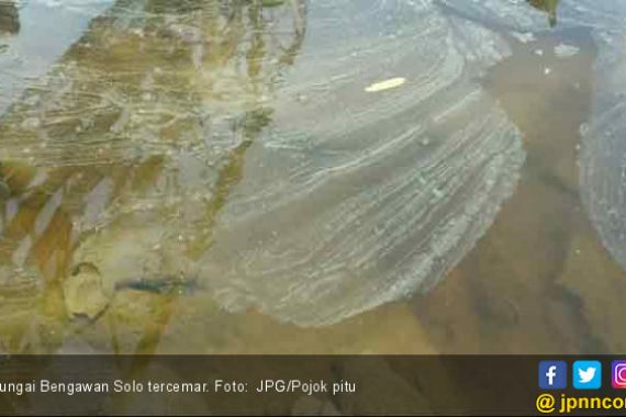Warga Protes Sungai Bengawan Solo Tercemar - JPNN.COM