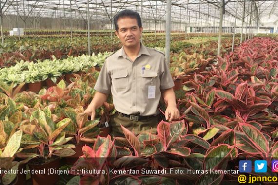 Dirjen Hortikultura Pangkas Proses Izin Ekspor Tanaman Hias - JPNN.COM