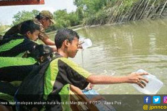 Siswa SD Lepas 250 Ekor Kura-Kura di Mangrove Wonorejo - JPNN.COM