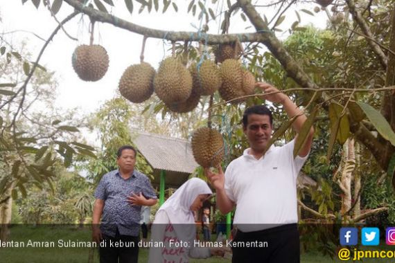 Dengan Kebijakan Mentan Amran, Durian Kini Surplus 733 Ton - JPNN.COM