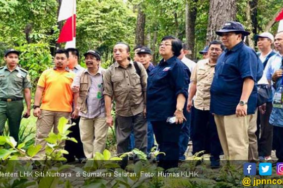 Masyarakat Sumatera Selatan Terima SK Perhutanan Sosial - JPNN.COM