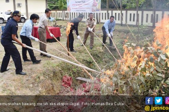 Bea Cukai Pekanbaru Musnahkan 80 Ton Bawang Merah Ilegal - JPNN.COM