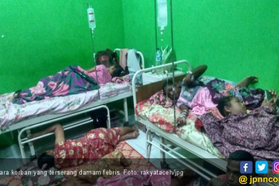 Warga Aceh Barat Terserang Malaria Monyet - JPNN.COM