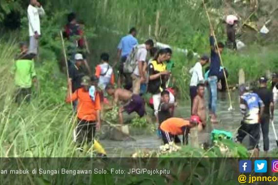 Warga Berebut Ikan Mabuk di Sungai Bengawan Solo - JPNN.COM