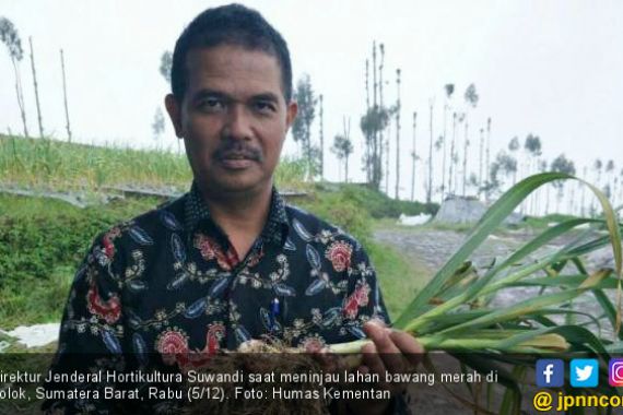 Dari Aceh Sampai Papua, Bawang Putih Mulai Menghampar - JPNN.COM