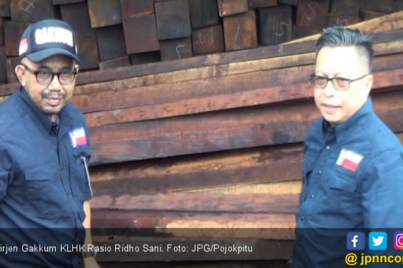 KLHK Bongkar Penyelundupan Kayu Ilegal Senilai Rp 14 Miliar - JPNN.COM