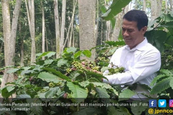 Kementan Siapkan Lima Strategi Bikin Perkebunan Indonesia Jadi Primadona di Pasar Ekspor - JPNN.COM