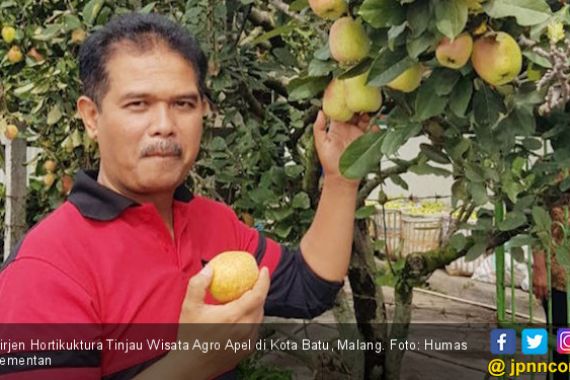 Dirjen Hortikultura Tinjau Wisata Agro Apel di Kota Batu - JPNN.COM