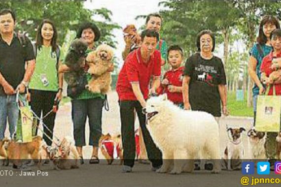 Aksi Nyata pada Anjing Telantar - JPNN.COM