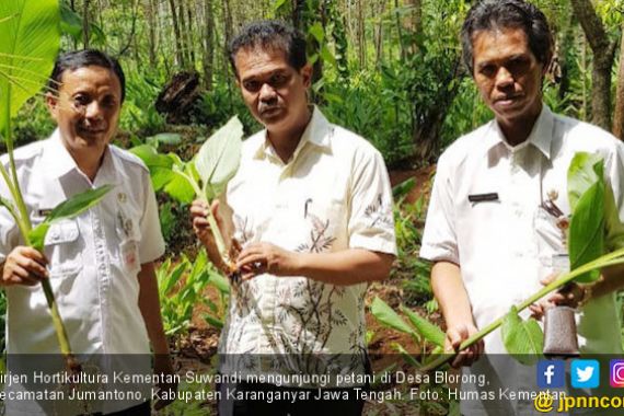 Petani Karanganyar Siap Tingkatkan Produksi Tanaman Herbal - JPNN.COM