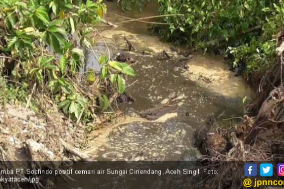 Limbah Socfindo Positif Cemari Air Sungai Cinendang - JPNN.COM