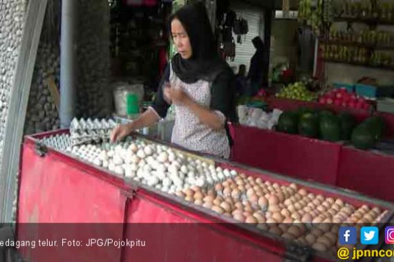 Warga Tak Perlu Khawatir Isu Telur Ayam Terpapar Limbah Plastik - JPNN.COM