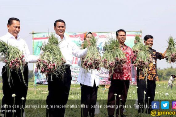 Produk Hortikultura Indonesia Semakin Diminati Dunia   - JPNN.COM