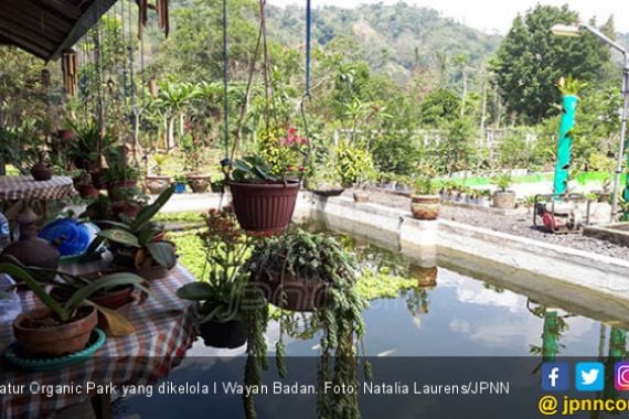 Cantiknya Batur Organic Park di Antara Tambang Galian C - JPNN.COM