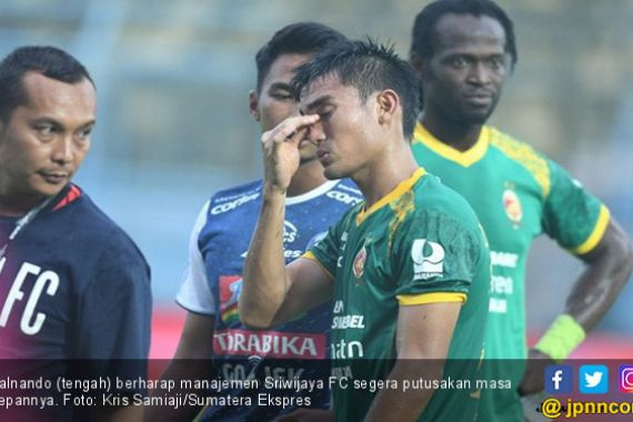 Zalnando Berharap Sriwijaya FC Beri Kepastian Soal Nasibnya - JPNN.COM