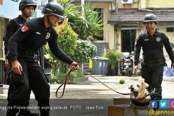 Puluhan Korban Longsor Belum Ditemukan Anjing Pelacak - JPNN.COM