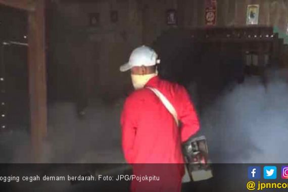 Dinkes Kekurangan Tenaga Fogging Cegah Wabah Demam Berdarah - JPNN.COM