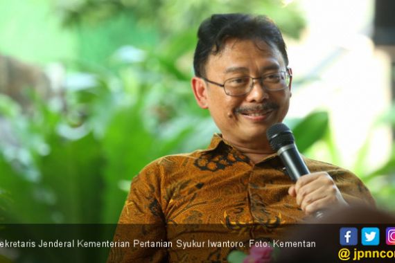 Investor Masuk, Produksi Daging Sapi Terus Meningkat - JPNN.COM