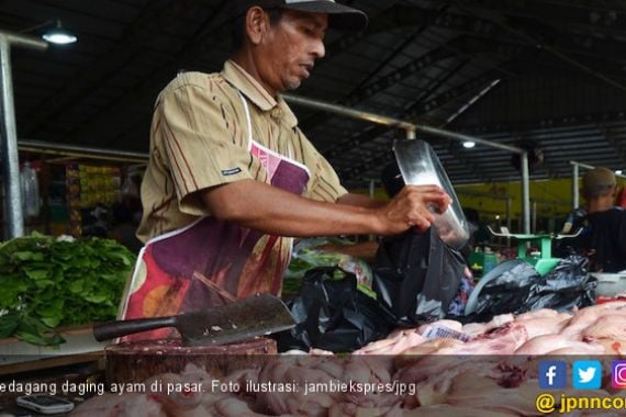 Harga Daging Ayam di Kota Jambi Belum Turun - JPNN.COM