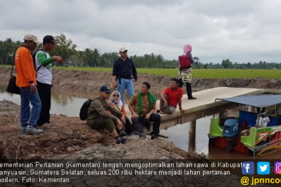 Kementan Wujudkan Petani Milenial di Lahan Rawa - JPNN.COM