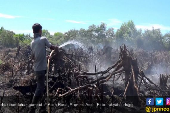 Kebakaran Lahan Gambut di Aceh Barat Makin Meluas - JPNN.COM