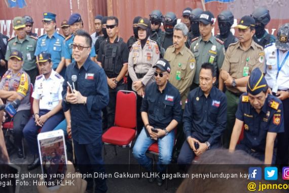 KLHK dan Tim Gabungan Amankan 57 Kontainer Kayu Ilegal - JPNN.COM