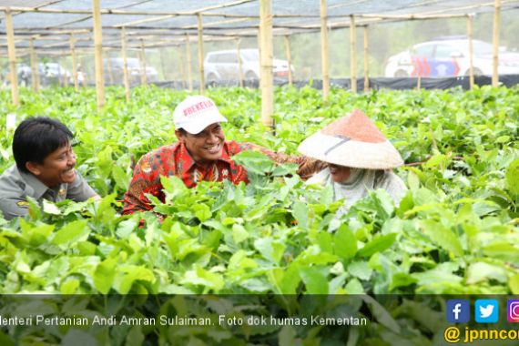 Gebrakan Mentan Andi Amran Bikin Neraca Perdagangan Pertanian Surplus - JPNN.COM