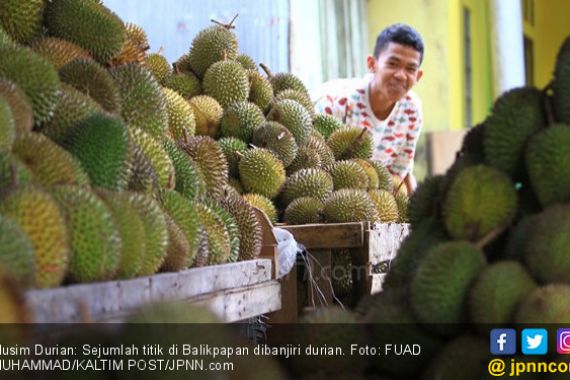Jangan Takut Makan Durian, Simak nih Penjelasan Pakar Gizi - JPNN.COM